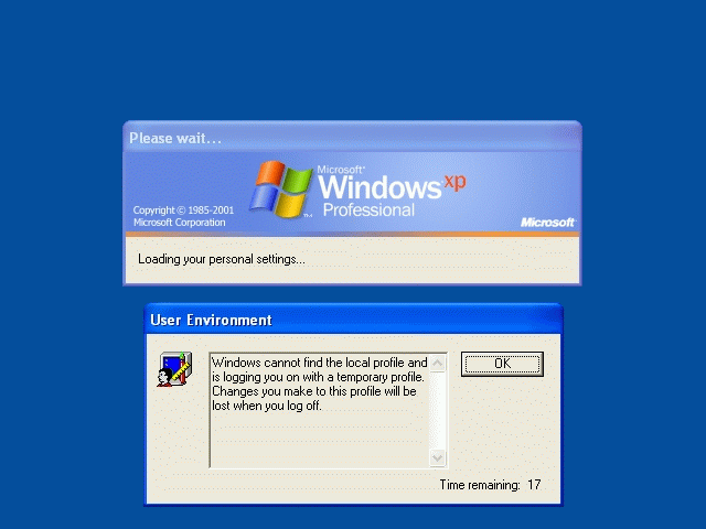 The message on usage of the temporary user profile (WinXP Pro SP2)